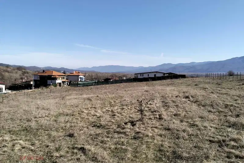 Plot in Sofia, Pchelin