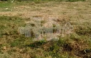 Парцел във Варна, с. Пчелник