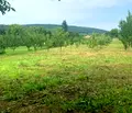 Снимка 3 — Парцел в Габрово, с. Петко Славейков