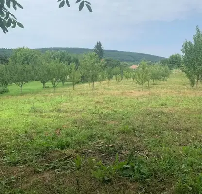 Снимка 3 — Парцел в Габрово, с. Петко Славейков