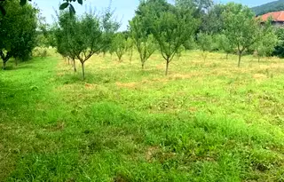 Парцел в Габрово, с. Петко Славейков