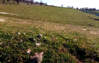 Парцел в с. Подгумер