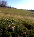 Парцел в с. Подгумер