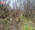 Снимка 3 — Парцел във Велико Търново, с. Присово
