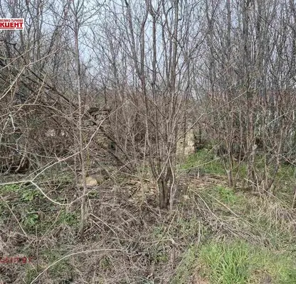 Photo 3 — Plot in Oblast Veliko Tyrnovo, Prisovo
