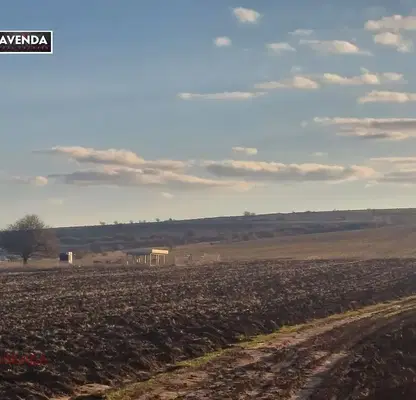 Photo 3 — Plot in област София, Prolesha
