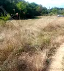 Парцел в Пловдив, с. Пролом