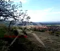 Снимка 2 — Парцел в Пловдив, с. Първенец