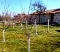 Снимка 5 — Парцел в София, с. Радуил
