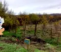 Снимка 4 — Парцел във Враца, с. Ракево