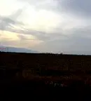 Парцел в София, с. Равно поле