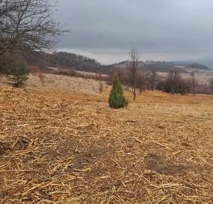 Photo 4 — Plot in Oblast Pernik, Rudarci