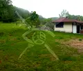 Снимка 4 — Парцел в Кърджали, с. Русалско