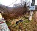 Снимка 3 — Парцел в Ловеч, с. Шипково