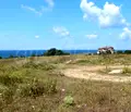 Снимка 3 — Парцел в Бургас, с. Синеморец