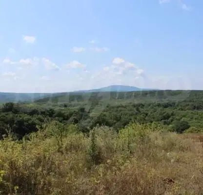 Снимка 4 — Парцел в Бургас, с. Синеморец
