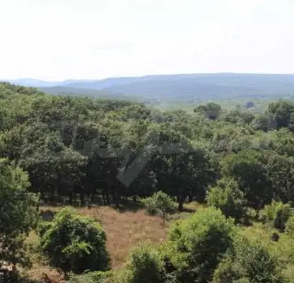 Снимка 5 — Парцел в Бургас, с. Синеморец