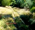 Снимка 3 — Парцел в Пловдив, с. Ситово