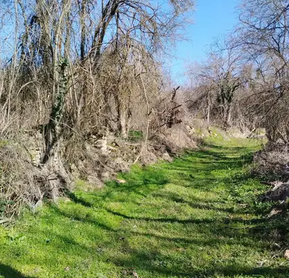 Photo 2 — Plot in Oblast Gabrovo, Slaveikovo