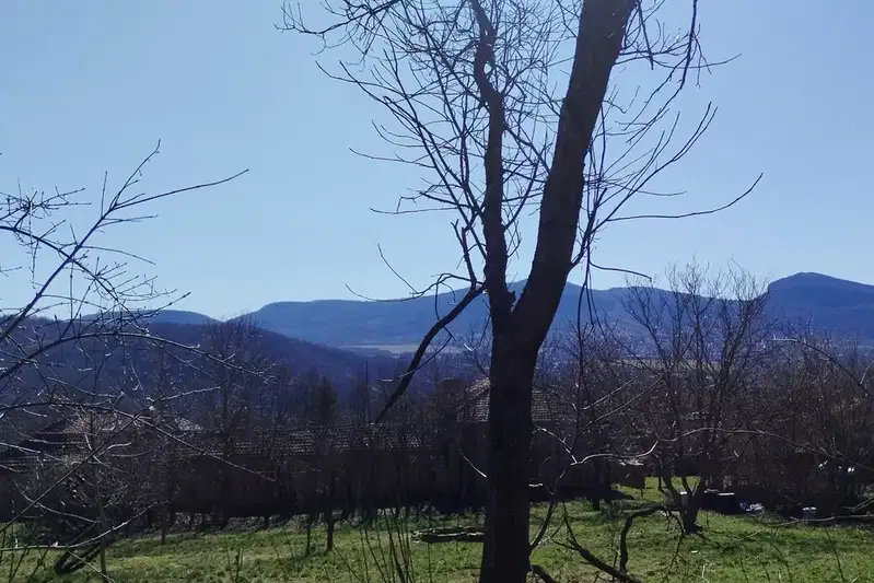 Plot in Oblast Gabrovo, Slaveikovo