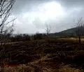 Снимка 3 — Парцел в Монтана, с. Спанчевци