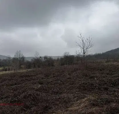 Photo 4 — Plot in Oblast Montana, с. Спанчевци