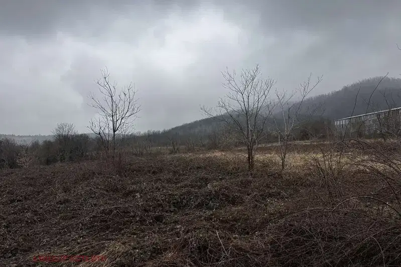 Plot in Oblast Montana, с. Спанчевци