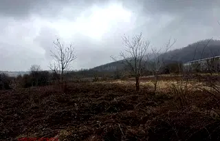 Парцел в Монтана, с. Спанчевци