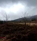 Парцел в Монтана, с. Спанчевци