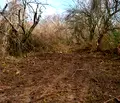 Снимка 2 — Парцел в Перник, с. Старо село