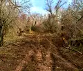 Снимка 3 — Парцел в Перник, с. Старо село