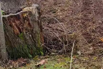 Парцел в Перник, с. Старо село