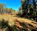 Снимка 2 — Парцел в Стара Загора, с. Старозагорски бани
