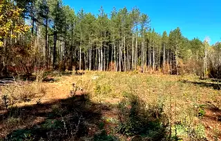 Парцел в Стара Загора, с. Старозагорски бани