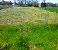 Снимка 5 — Парцел в Добрич, с. Стожер