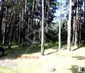 Снимка 2 — Парцел в Смолян, с. Студенец