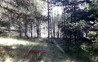 Парцел в Смолян, с. Студенец