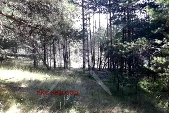 Парцел в Смолян, с. Студенец