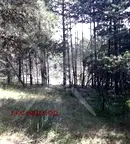 Парцел в Смолян, с. Студенец