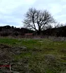 Парцел в Пловдив, с. Свежен