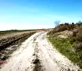 Снимка 5 — Парцел в с. Тополи