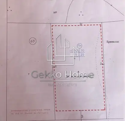 Photo 4 — Plot in Topoli