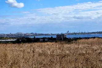 Парцел в с. Тополи