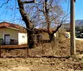 Снимка 5 — Парцел в Пловдив, с. Тополово