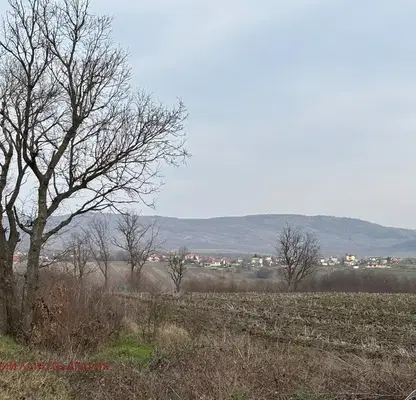 Photo 2 — Plot in Tvyrdica