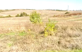 Парцел в с. Твърдица