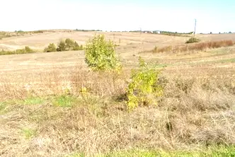 Парцел в с. Твърдица
