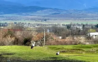 Парцел в Стара Загора, с. Тъжа