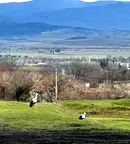 Парцел в Стара Загора, с. Тъжа