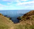 Снимка 5 — Парцел в Бургас, с. Варвара